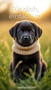 Süßer Labrador Welpe