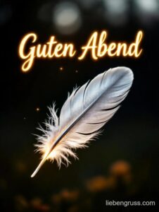 Weißer Federansatz auf dunklem Hintergrund mit Sternen und goldenem Text