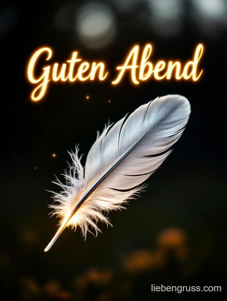 Weißer Federansatz auf dunklem Hintergrund mit Sternen und goldenem Text