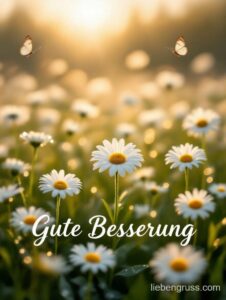 Blumenfeld mit Schmetterlingen und Gute Besserung