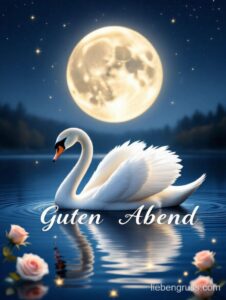Weißer Schwan schwimmt bei Nacht unter leuchtendem Mond. Rosen und Sterne umrahmen die Szene.