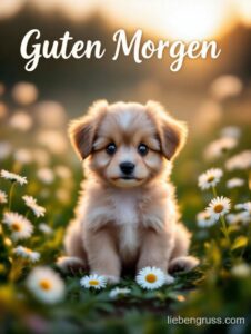 Flauschiges Welpenbaby sitzt im Gras neben weißen Welpe im Gras mit Kamillen. Guten Morgen geschrieben oben.