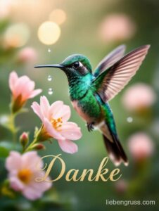 Grün schimmernder Kolibri fliegt vor rosa Blüte, Tropfen fällt, „Danke“ im Vordergrund